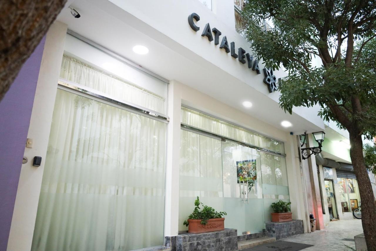 Cataleya Hotel 산토도밍고 외부 사진